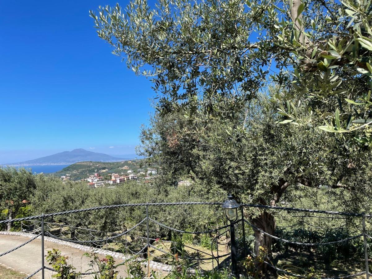 Loren House, Relaxing Location With Seaview Маса Лубрензе Екстериор снимка